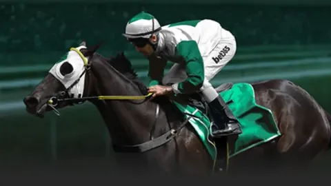 乌迪内斯1-2国际米兰，劳塔罗破门佩里西奇助力取胜